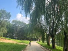 -丁香湖公园