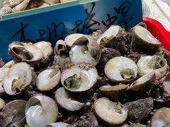 -外伶仃岛海鲜市场