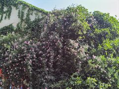 -君之悦·影院式足道·养生SPA(回兴店)