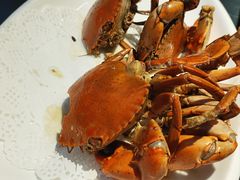 -鑫悦楼煎蟹·16年海鲜大排档
