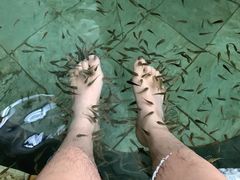 -渔岛海洋度假区