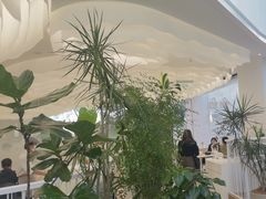 -大树餐厅(红旗街万达店)