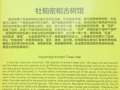 -呀路古热带植物园
