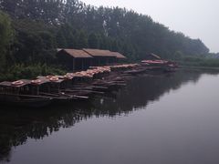 -溱湖国家湿地公园