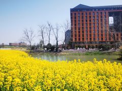 -浙江大学(紫金港校区)
