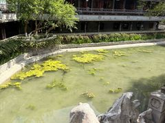 -龙潭水乡