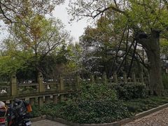 -汇龙潭