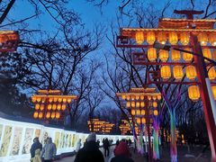-青龙湖公园