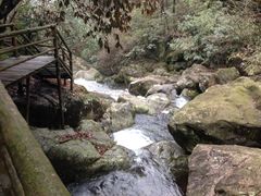 -东天目山风景区