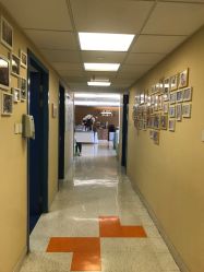 -杭州贝瑞斯美华妇儿医院·早孕·产检·儿科