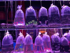 -华声天桥民俗文化园