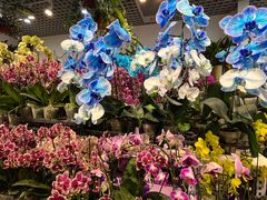 -三旗百汇商品城