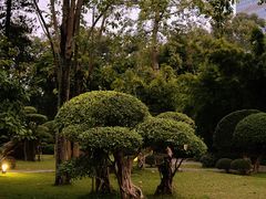 -南宁南湖公园
