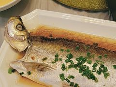 -明珠湖天鹅苑·农家菜馆