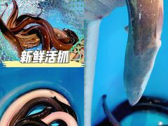 -本炙炭烤·蒲烧活鳗料理店(金沙洲店)