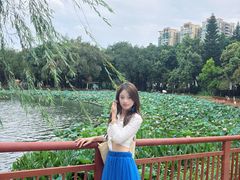 -荔湾湖公园