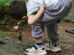 -五营红松林海景区