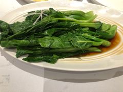 木耳芥蓝-眉州东坡(远洋未来广场店)