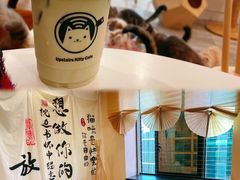 -楼上猫咖(罗湖店)