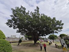 -石炮台公园