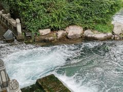-百脉泉景区