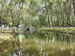 -长白岛森林公园