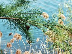 -仙海旅游度假区