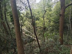 -灵顺寺