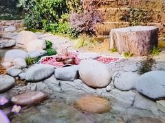 -天目湖御水温泉·度假酒店