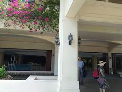 -三亚亚龙湾金棕榈度假酒店