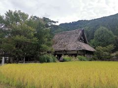 -白川乡与五箇山的合掌构造村落