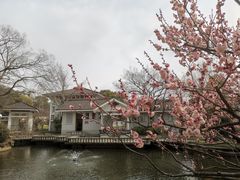 -无锡梅园公园