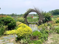 -东平国家森林公园