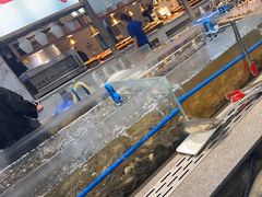 -半岛听涛蒸汽海鲜自助(K11店)