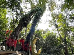 -七仙岭温泉国家森林公园