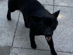 -MAX伯爵趣味互动密室逃脱(大坪D馆店)