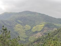 -东白山