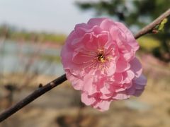 -大兴滨河森林公园