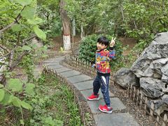 -迎泽公园
