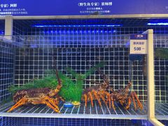 -开海·红岛海鲜虾水饺(石老人店)