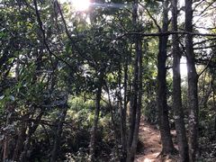 -梧桐山风景名胜区