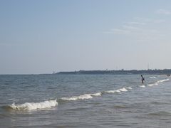 -日照海滨国家森林公园