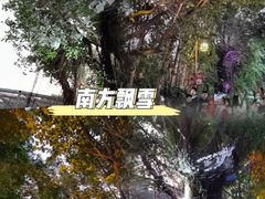 -东莞香市动物园