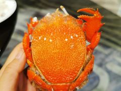 大飞蟹-西藏饭店·亚克·食光自助餐厅(文殊院店)