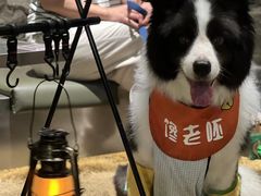 -J Create城市露营咖啡·简餐·宠物(上海动物园店)