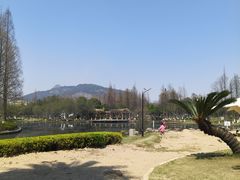 -河泥荡文化公园