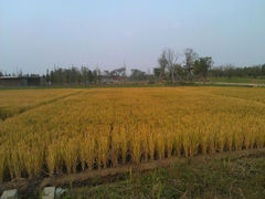 android_upload_pic-阳澄湖费尔蒙酒店