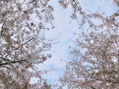 -西北湖绿化广场