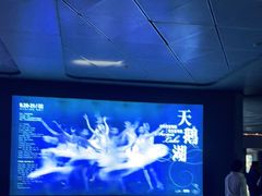 -哈尔滨大剧院