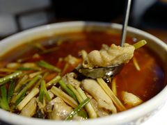 水煮鱼-尽膳·鱼鲜川菜(宽窄巷子店)